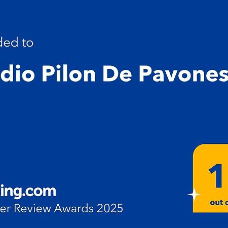 Studio Pilon De Pavones Pavones  Exteriör bild